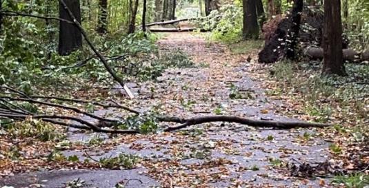 Vorsichtsmassnahmen im Rotengraben