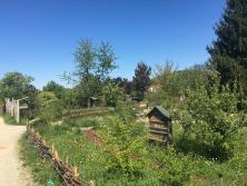 Naturgarten Im Brühl