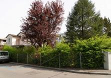 Bäume auf privaten Liegenschaften