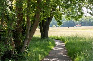Spazierweg in Riehen