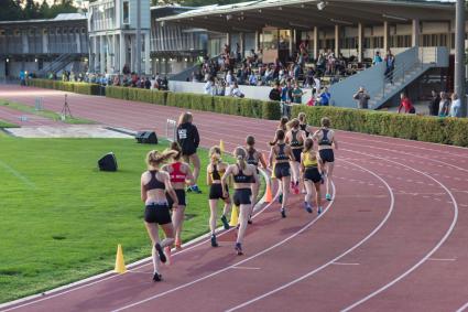 Sportanlagen in Riehen, Grendelmatte